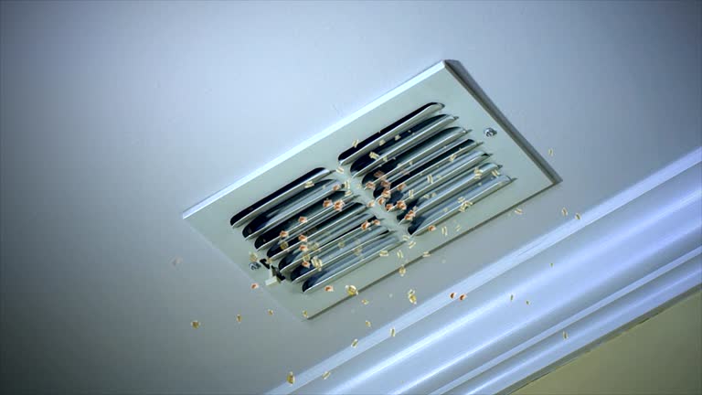 Trusted Mountain Home Af, ID Airduct Cleaning Experts